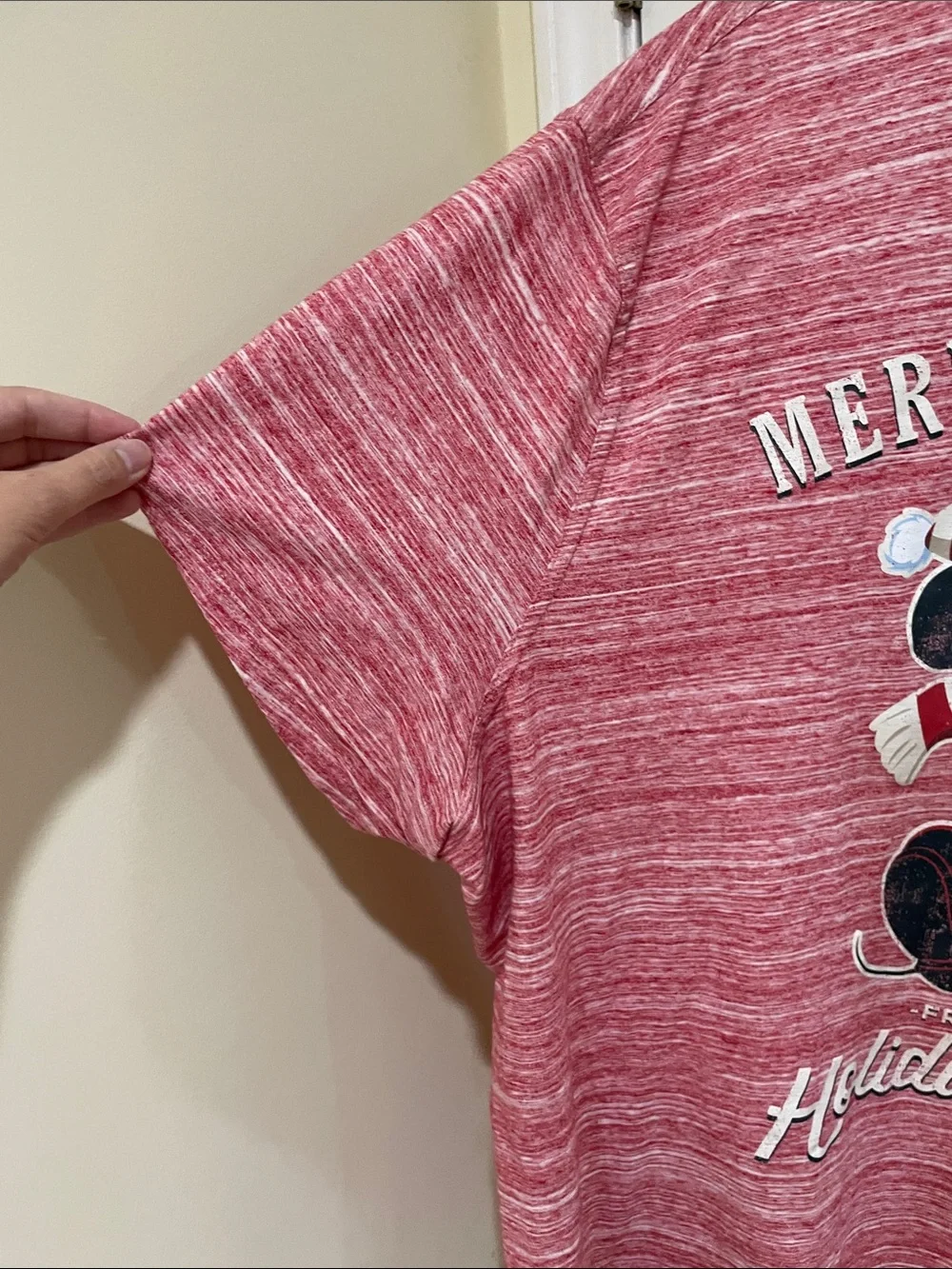 Disney Mickey Mouse Holiday Lodge Tee men’s 4xl